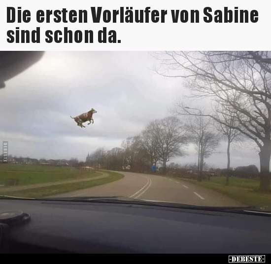 Die ersten Vorläufer von Sabine sind schon da... - Lustige Bilder | DEBESTE.de