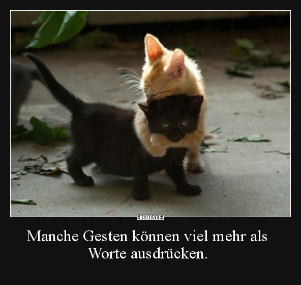 Manche Gesten können viel mehr als Worte ausdrücken... - Lustige Bilder | DEBESTE.de