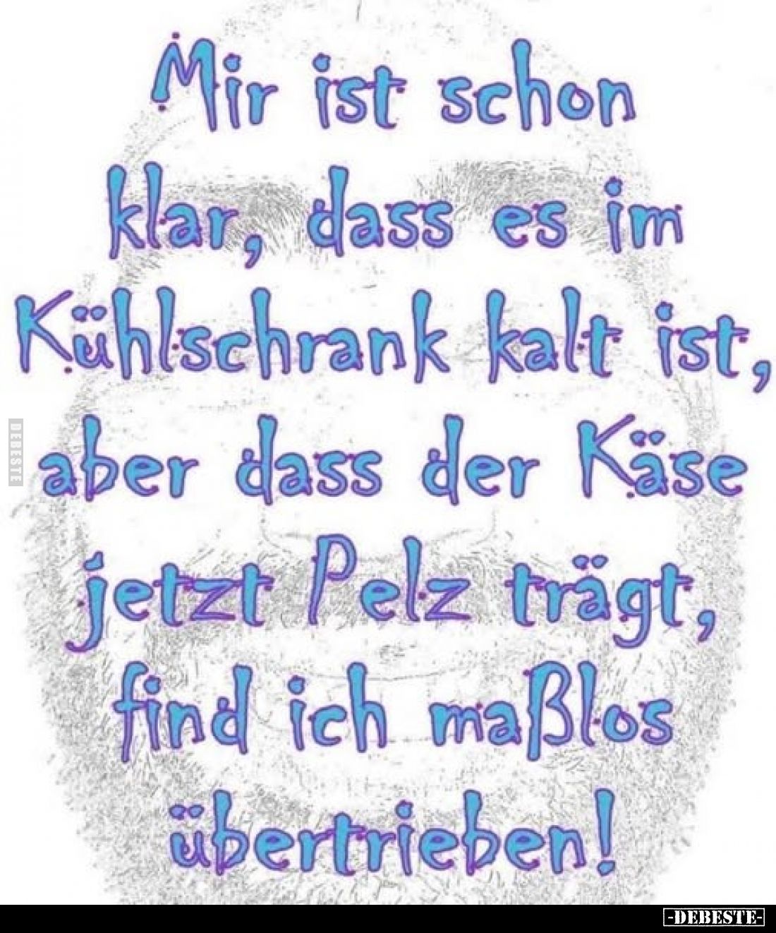 Mir ist schon klar, dass es im Kühlschrank kalt ist, aber dass der Käse jetzt Pelz trägt, find ich maßlos übertrieben!
