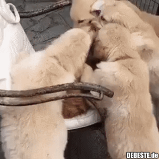 :) - Lustige Bilder | DEBESTE.de