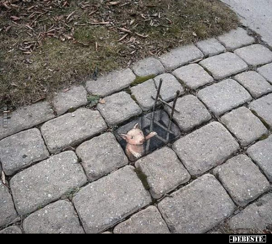  - Lustige Bilder | DEBESTE.de