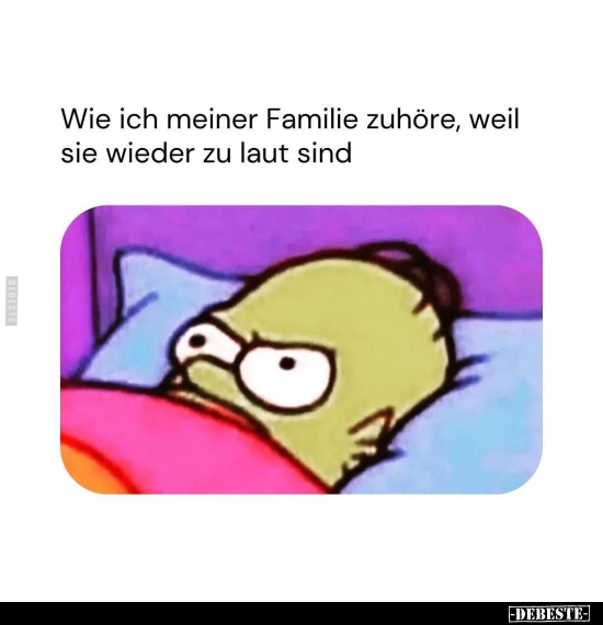 Wie ich meiner Familie zuhöre, weil.. - Lustige Bilder | DEBESTE.de