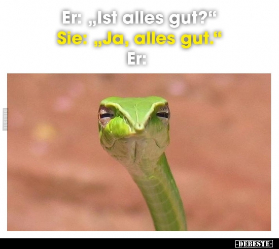 Er: "Ist alles gut?".. - Lustige Bilder | DEBESTE.de