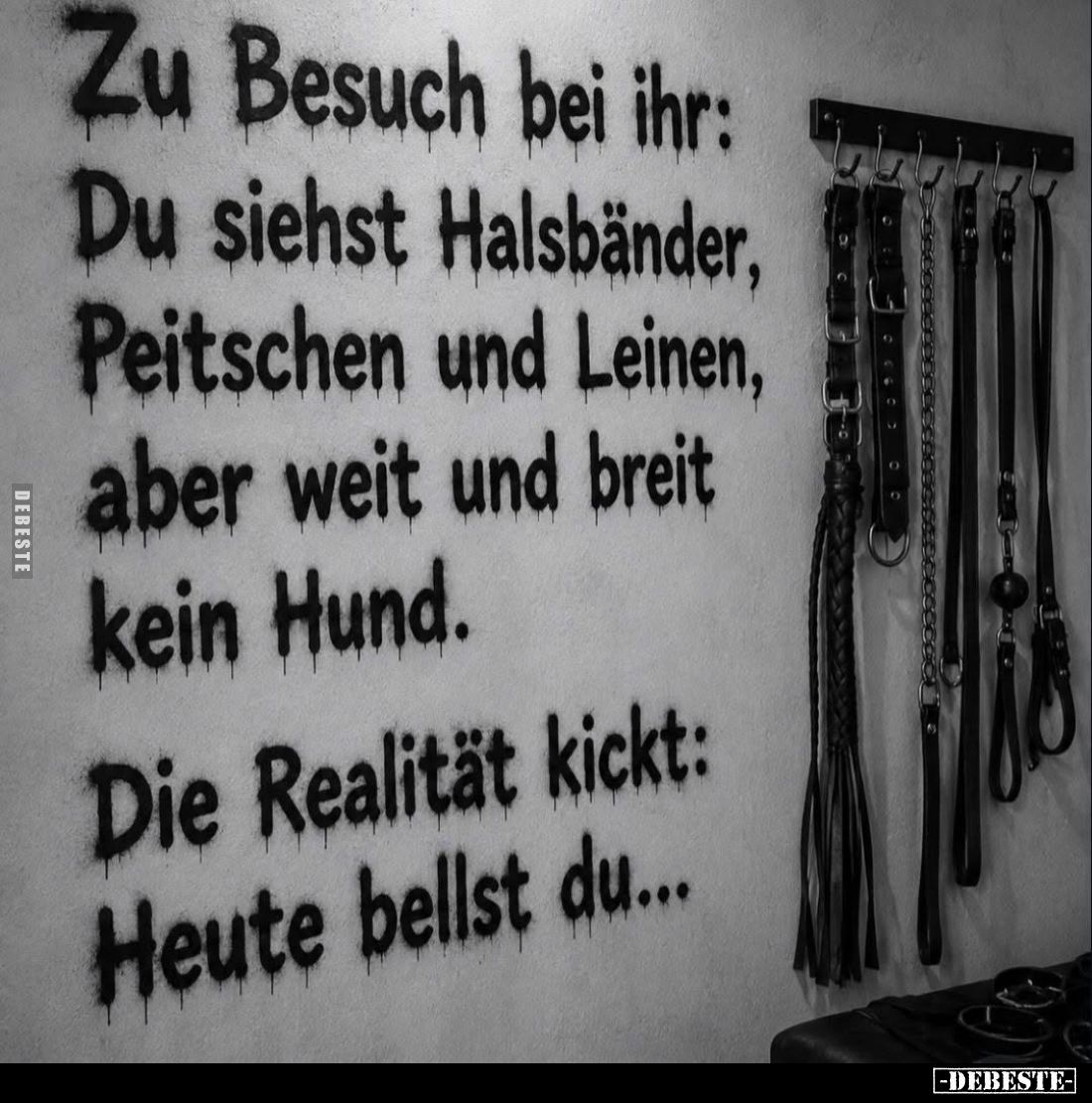 Zu Besuch bei ihr: Du siehst Halsbänder, Peitschen und Leinen, aber weit und breit kein Hund. -
Die Realität kickt: Heute be...
