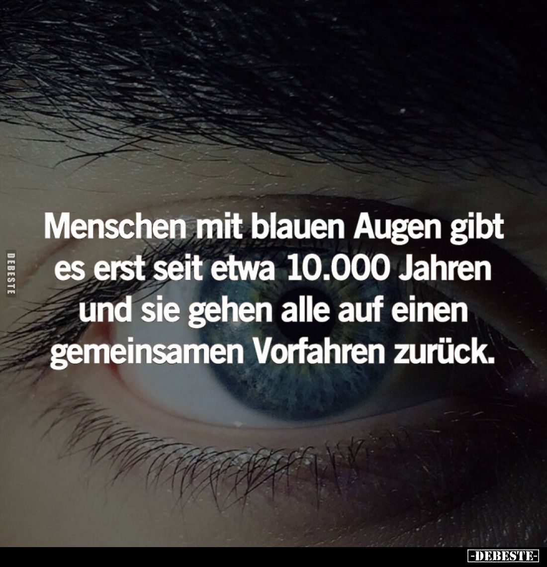 Menschen mit blauen Augen gibt es erst seit etwa 10.000 Jahren und sie gehen alle auf einen gemeinsamen Vorfahren zurück.