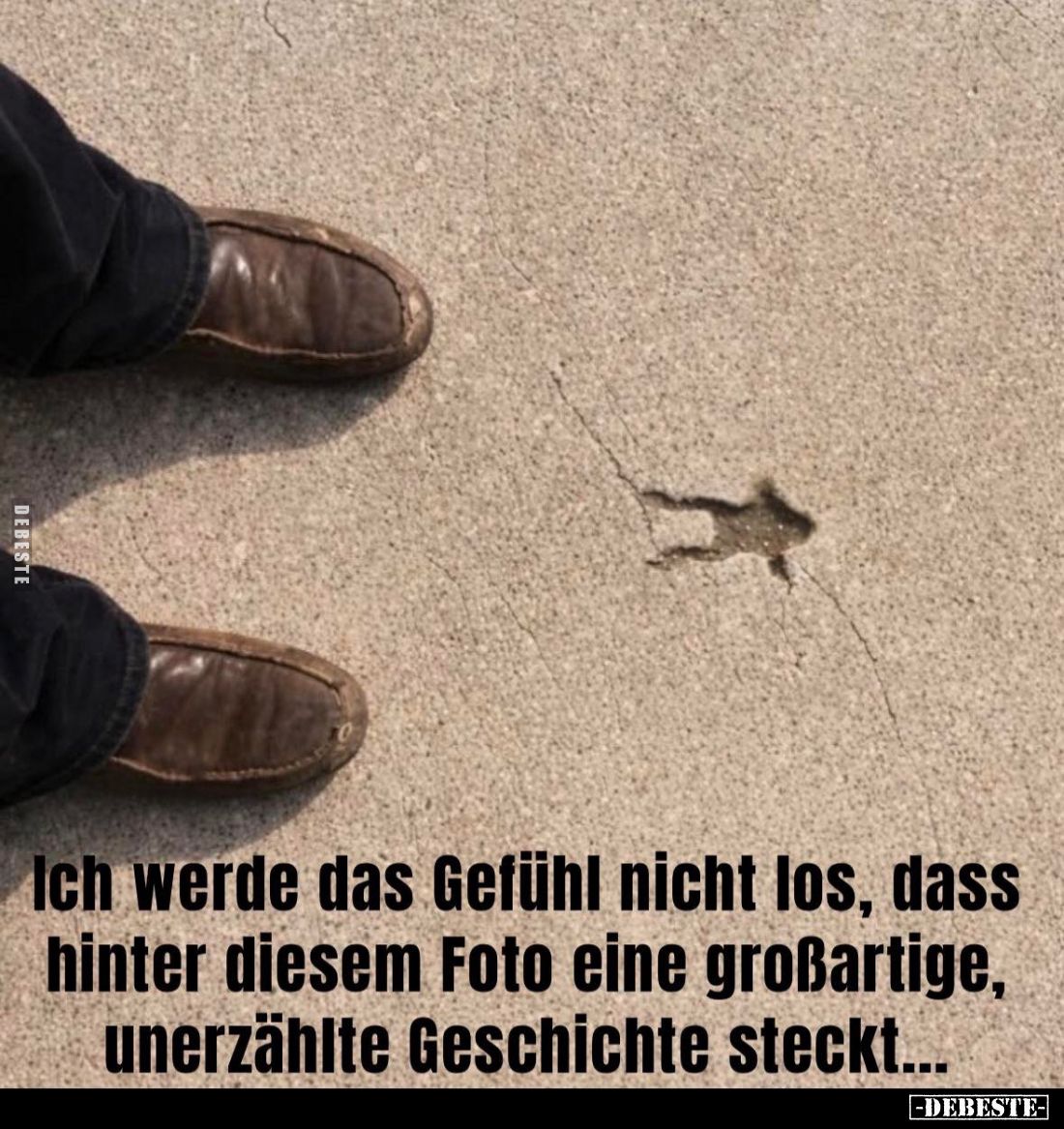 Ich werde das Gefühl nicht los, dass hinter diesem Foto.. - Lustige Bilder | DEBESTE.de