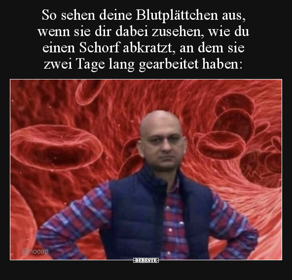 So sehen deine Blutplättchen aus, wenn sie dir dabei.. - Lustige Bilder | DEBESTE.de