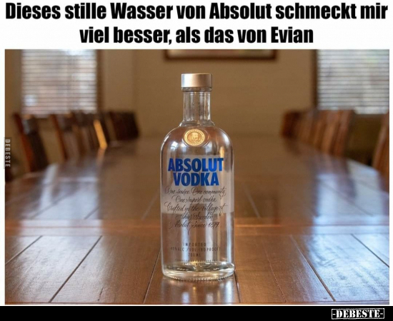 Dieses stille Wasser von Absolut schmeckt mir viel besser..