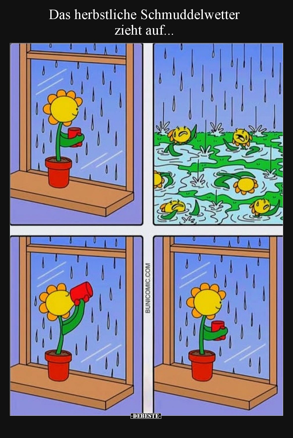 Das herbstliche Schmuddelwetter 
zieht auf...