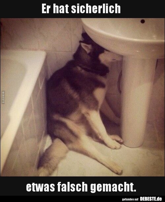 Er hat sicherlich etwas falsch gemacht..