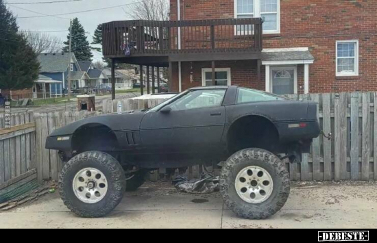  - Lustige Bilder | DEBESTE.de