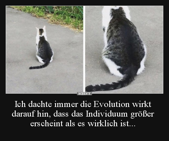 Ich dachte immer die Evolution wirkt darauf hin, dass das..