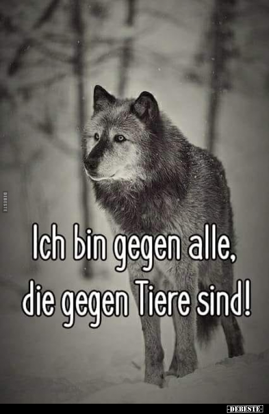 Ich bin gegen alle, die gegen Tiere sind!.. - Lustige Bilder | DEBESTE.de