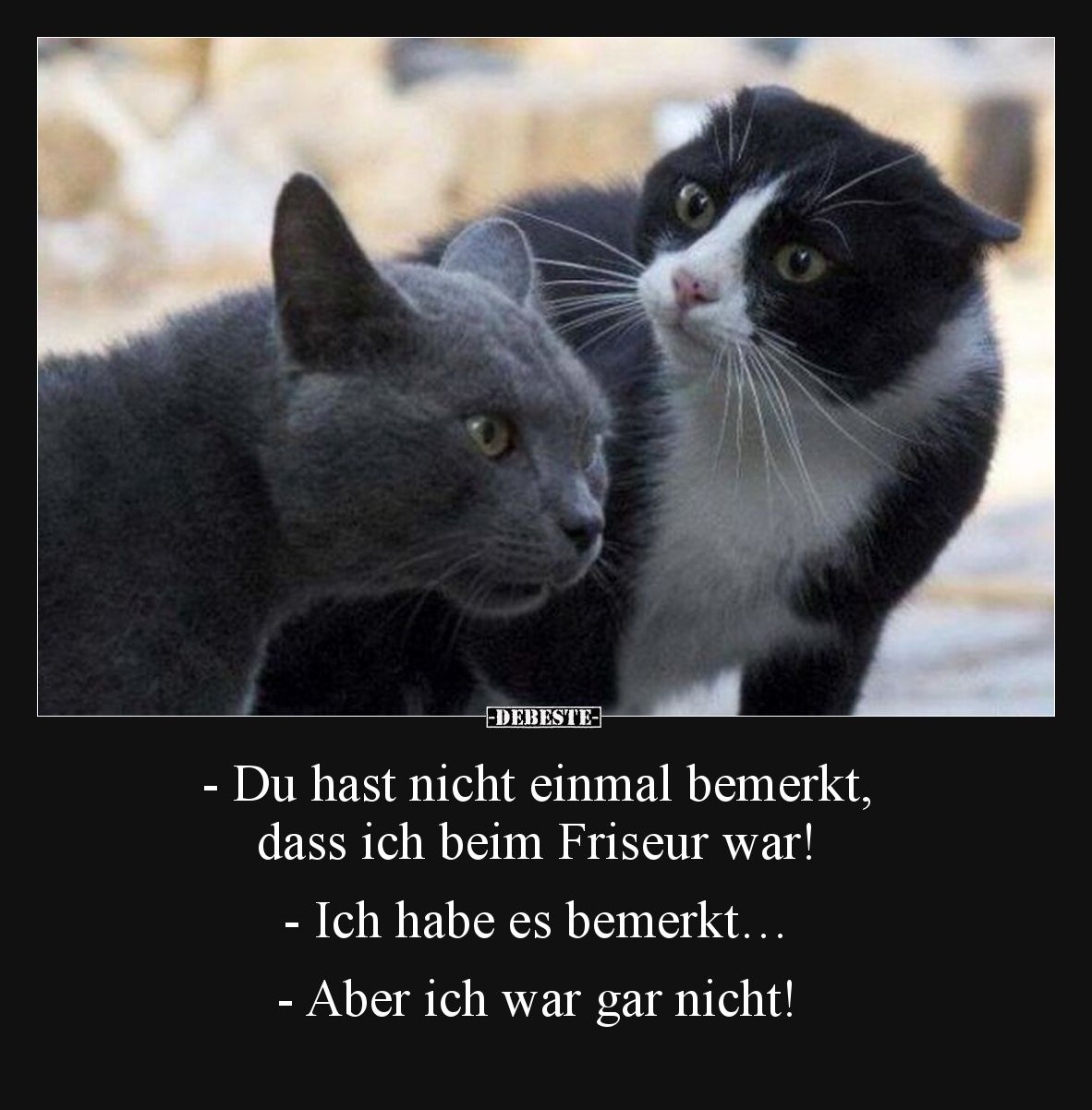 - Du hast nicht einmal bemerkt, dass ich beim Friseur war!

- Ich habe es bemerkt…

- Aber ich war gar nicht!