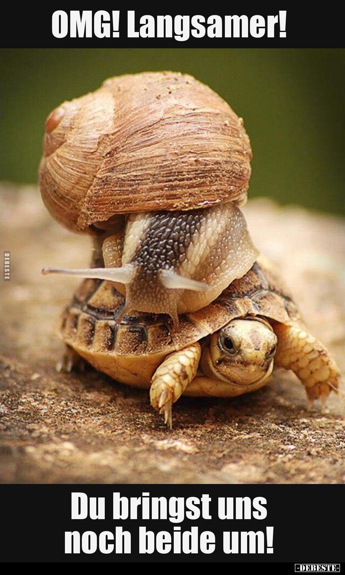OMG! Langsamer!
Du bringst uns noch beide um!