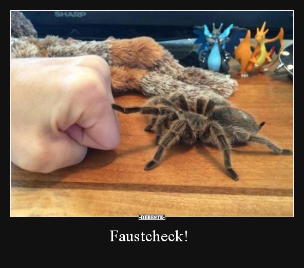 Faustcheck!..