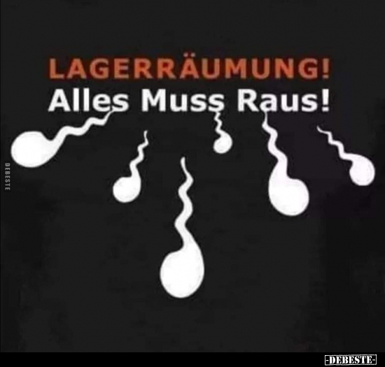 Lagerräumung! Alles muss raus!.. - Lustige Bilder | DEBESTE.de