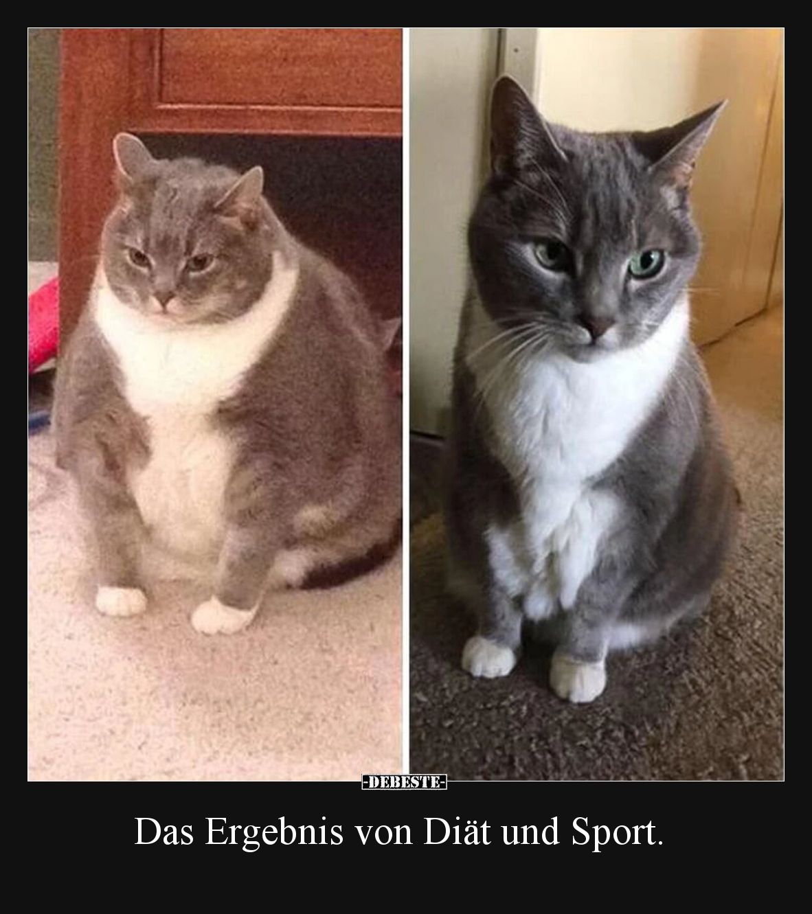 Das Ergebnis von Diät und Sport.