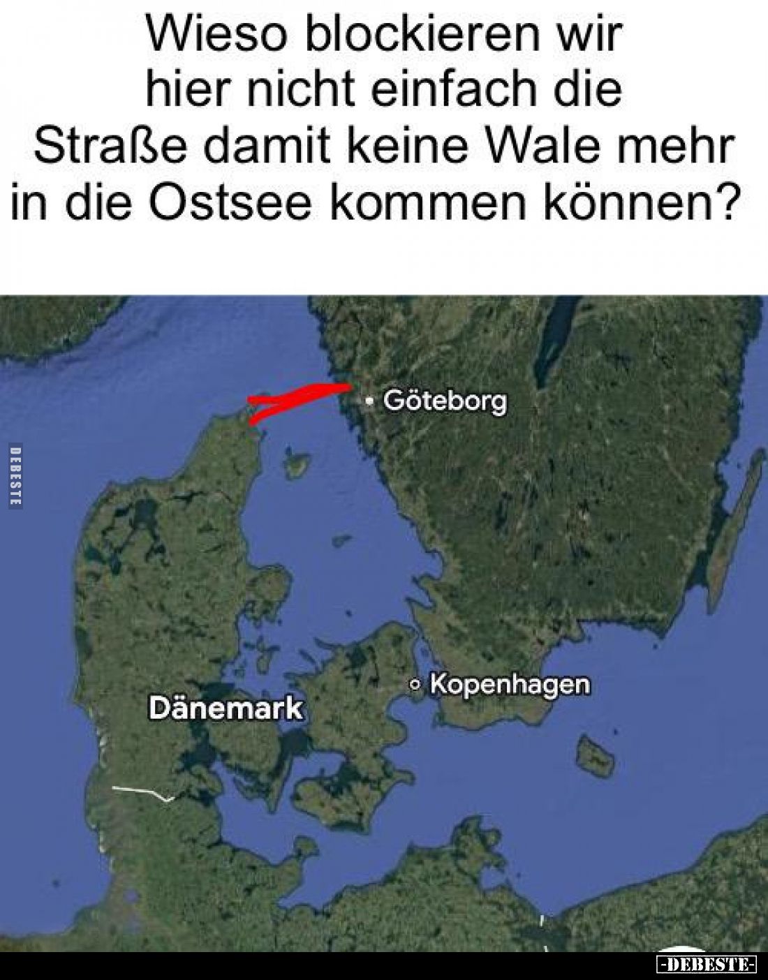 Wieso blockieren wir hier nicht einfach die Straße damit.. - Lustige Bilder | DEBESTE.de