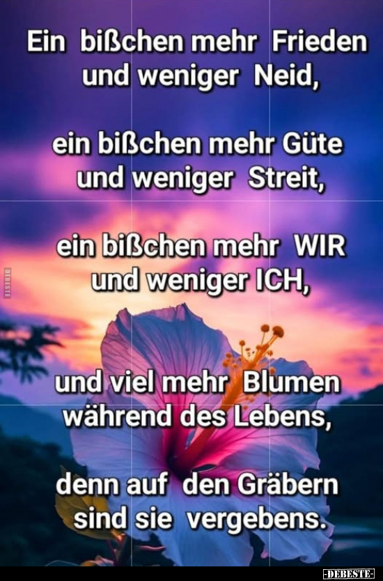 Ein bißchen mehr Frieden und weniger Neid.. - Lustige Bilder | DEBESTE.de