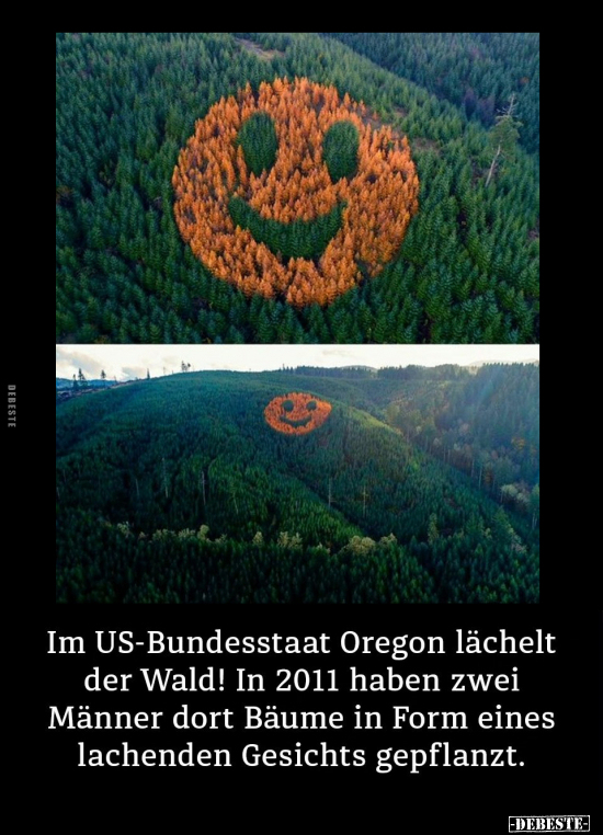 Im US-Bundesstaat Oregon lächelt der Wald.. - Lustige Bilder | DEBESTE.de