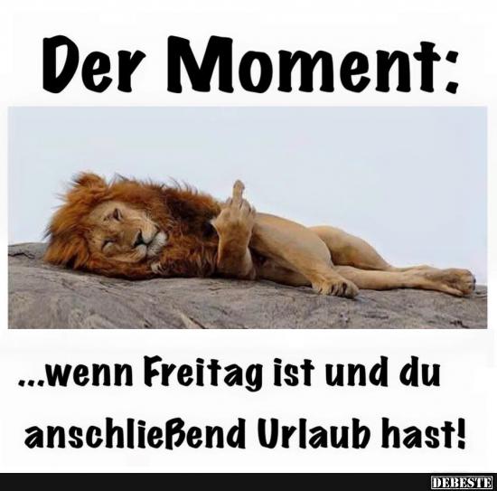 Der Moment.. wenn Freitag ist und du anschließend Urlaub hast! - Lustige Bilder | DEBESTE.de