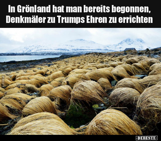 Donald Trump, Grönland, Donald Trump Grönland