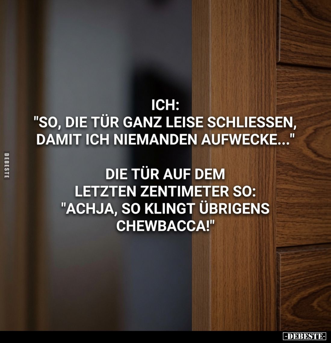 Ich:
"So, die Tür ganz leise schließen, damit ich niemanden aufwecke..."
Die Tür auf dem letzten Zentimeter so:
...