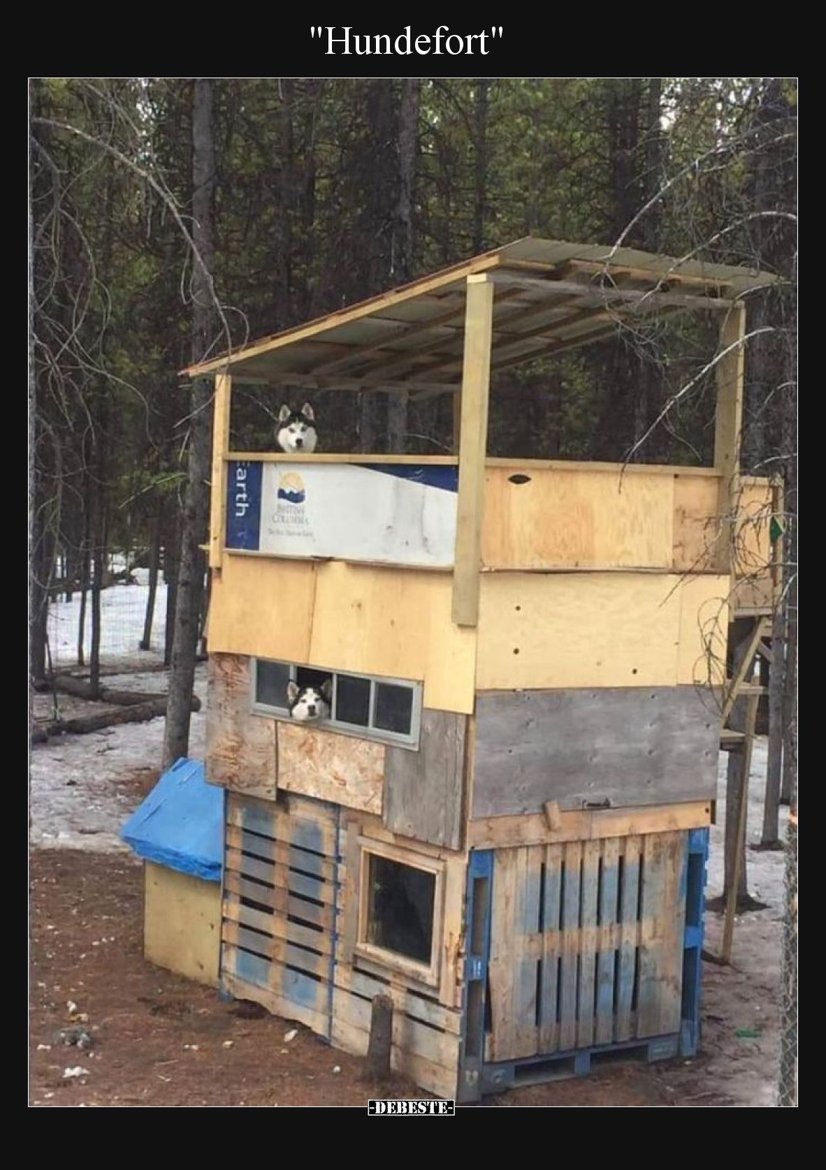 "Hundefort".. - Lustige Bilder | DEBESTE.de