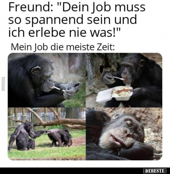 Freund: "Dein Job muss so spannend sein und ich erlebe nie.." - Lustige Bilder | DEBESTE.de