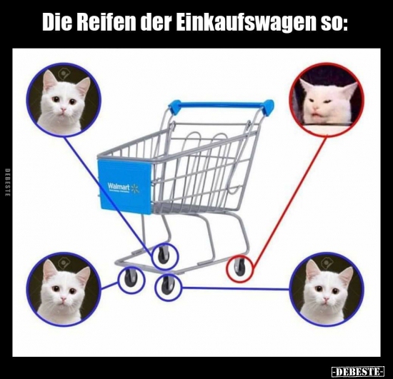 Die Reifen Der Einkaufswagen So Lustige Bilder Spruche Witze Echt Lustig