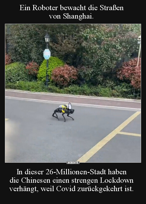 Ein Roboter bewacht die Straßen von Shanghai... - Lustige Bilder | DEBESTE.de
