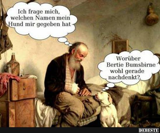 Ich frage mich, welchen Namen mein Hund mir gegeben hat.. - Lustige Bilder | DEBESTE.de