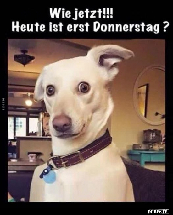 Wie jetzt!!! Heute ist erst Donnerstag?.. - Lustige Bilder | DEBESTE.de