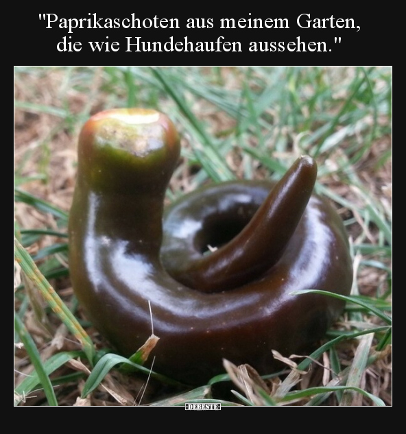 "Paprikaschoten aus meinem Garten, die wie Hundehaufen.." - Lustige Bilder | DEBESTE.de