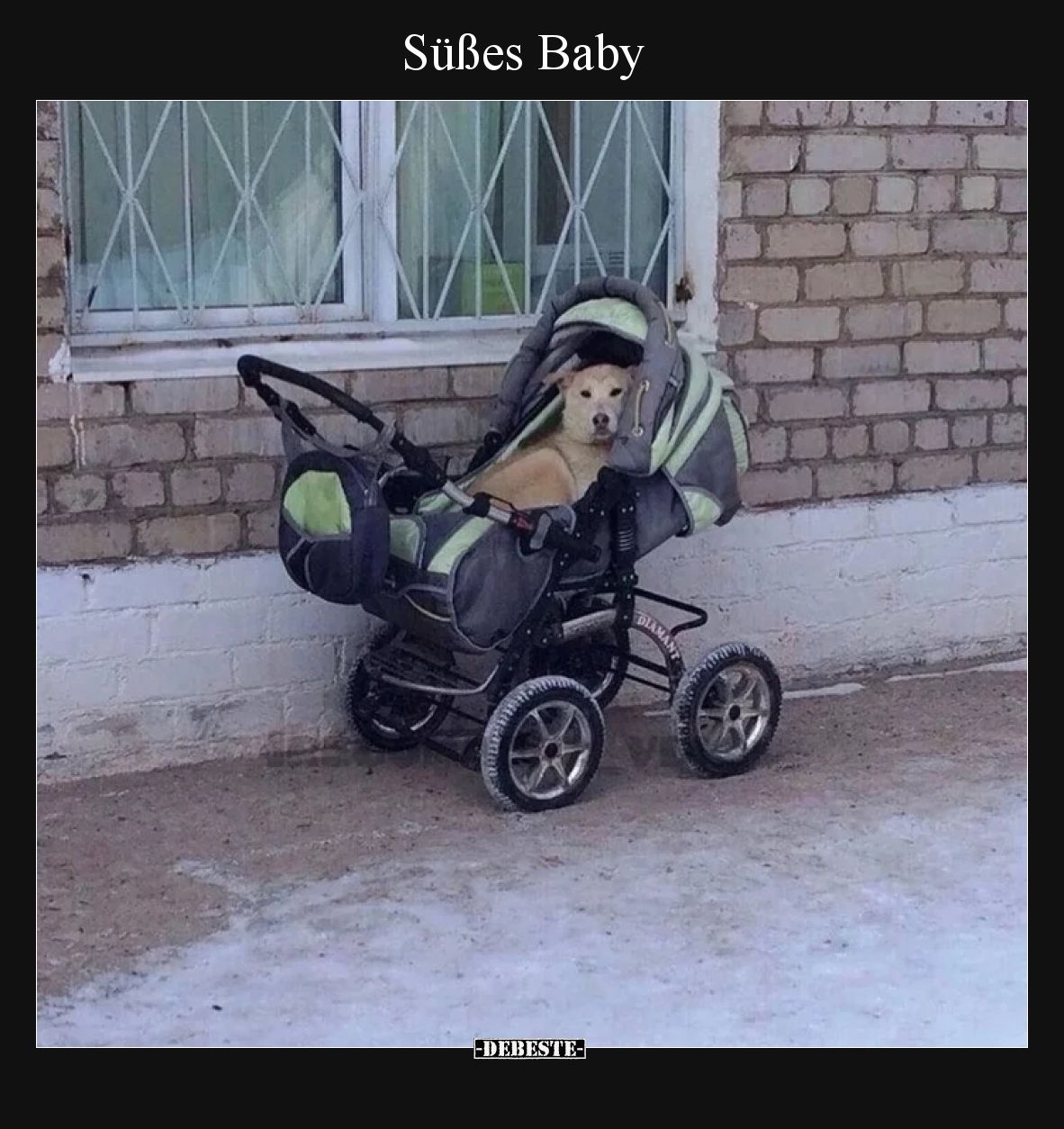 Süßes Baby