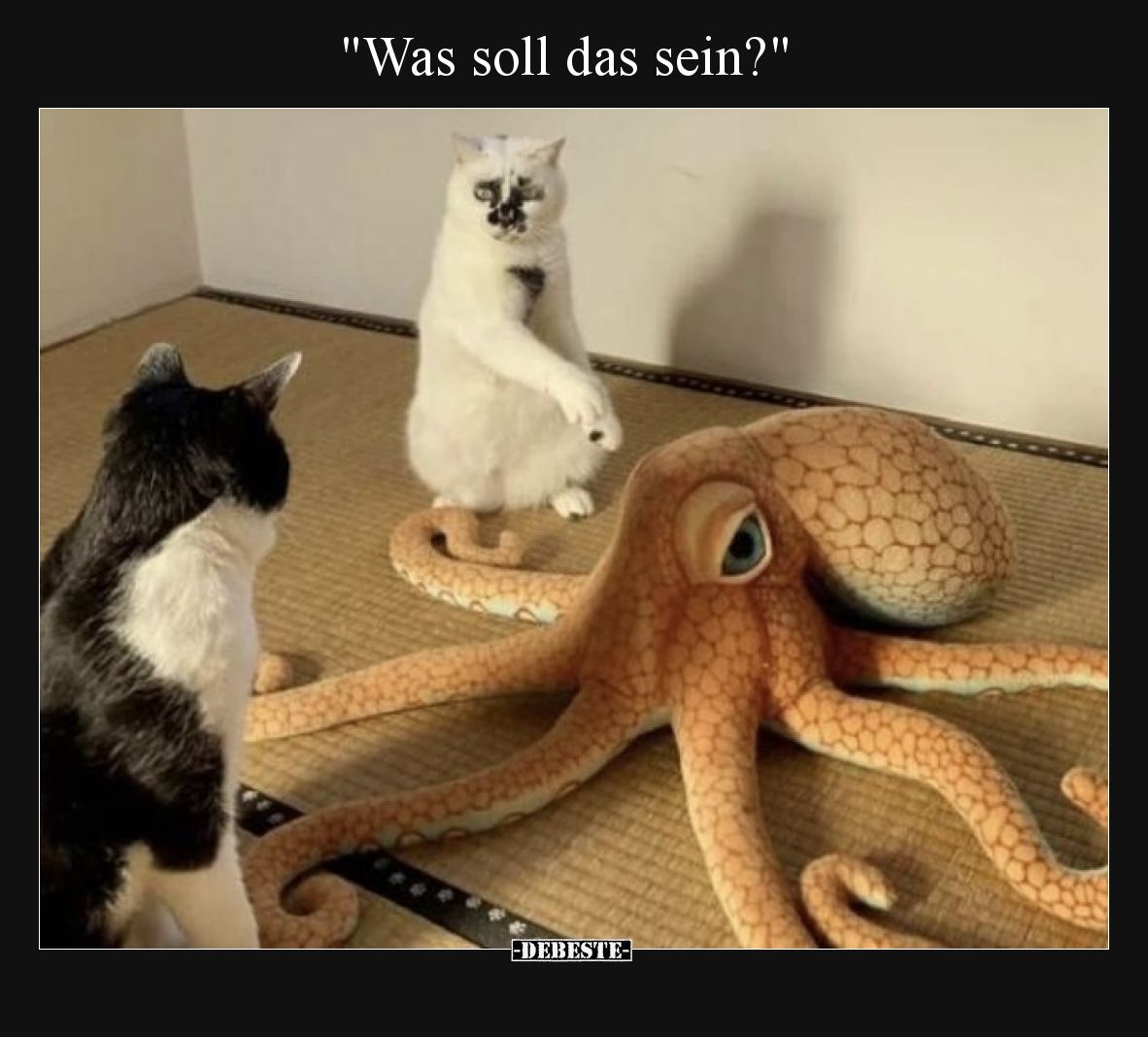 "Was soll das sein?".. - Lustige Bilder | DEBESTE.de