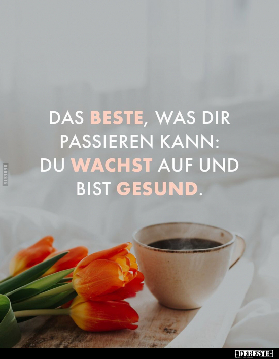  - Lustige Bilder | DEBESTE.de