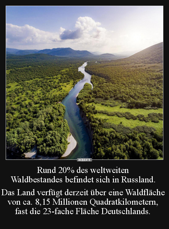 Rund 20% des weltweiten Waldbestandes befindet sich in.. - Lustige Bilder | DEBESTE.de