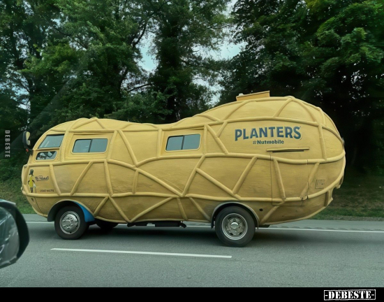 PLANTERS