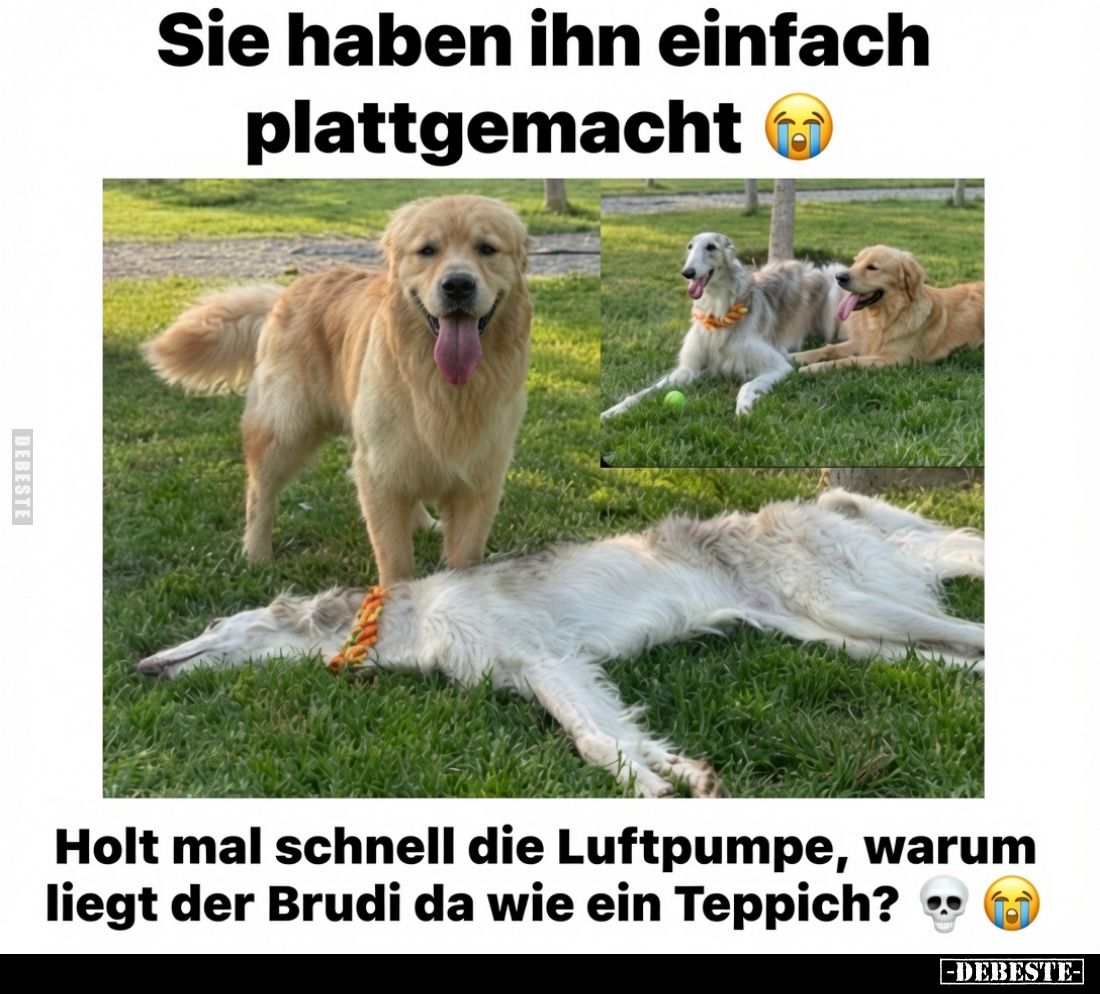 Sie haben ihn einfach plattgemacht.
Holt mal schnell die Luftpumpe, warum liegt der Brudi da wie ein Teppich?