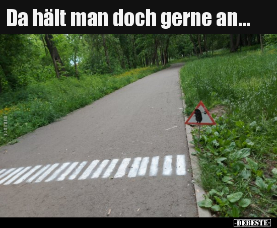 Da hält man doch gerne an...