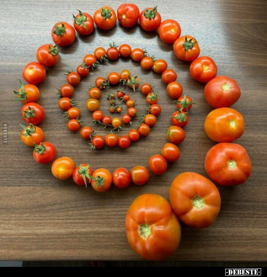  - Lustige Bilder | DEBESTE.de