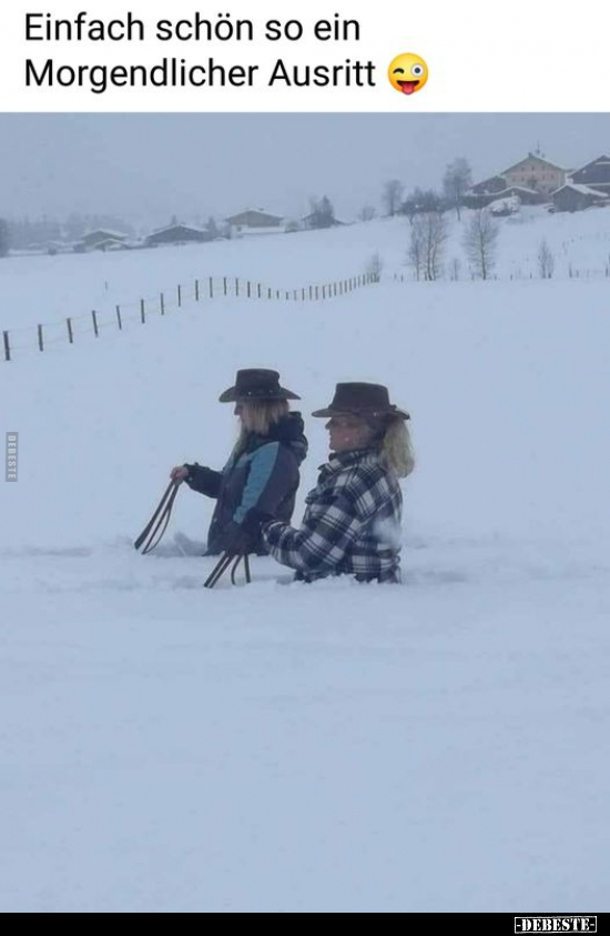 Einfach schön so ein Morgendlicher Ausritt..