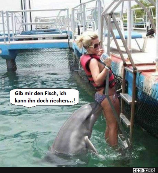 Gib mir den Fisch, ich kann ihn doch riechen...! - Lustige Bilder | DEBESTE.de