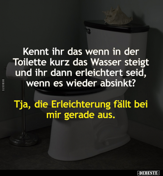 Kennt ihr das wenn in der Toilette.. - Lustige Bilder | DEBESTE.de