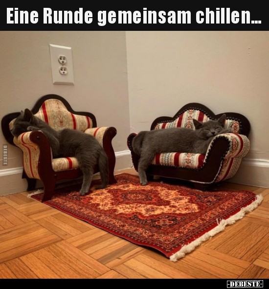 Eine Runde gemeinsam chillen...