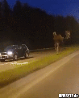  - Lustige Bilder | DEBESTE.de