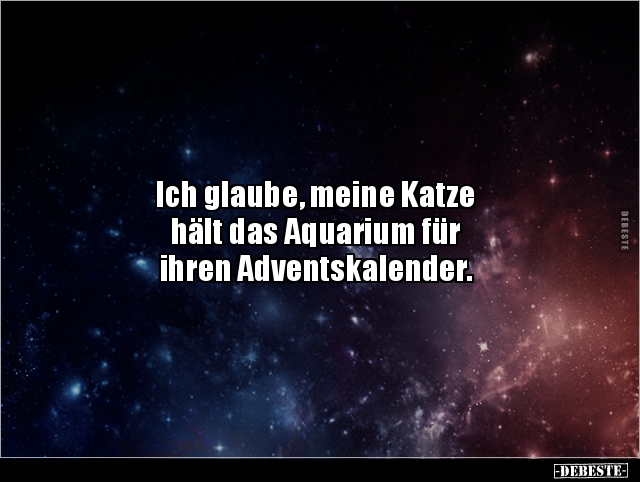 Ich glaube, meine Katze hält das Aquarium für ihren.. - Lustige Bilder | DEBESTE.de