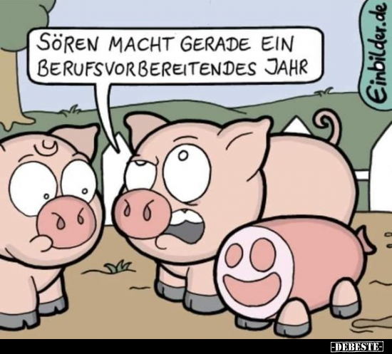 Sören macht gerade ein berufsvorbereitendes Jahr...